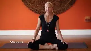 10 Minute Meditation | Anapana