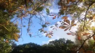 Pema Chodron - Guided Meditation  - Cultivating Unconditional Friendliness through Meditation