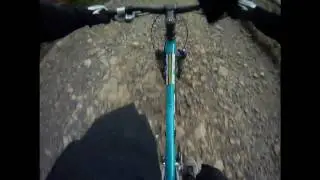 Kielder Deadwater trail