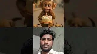 small baby monkey rio Birthday emotional story😭❤️#animals