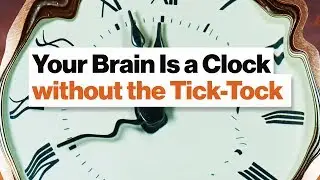 How Your Amazing Brain Tells Time: Circadian Watch, Pattern Pendulum, & Tempo Timer | Dean Buonomano