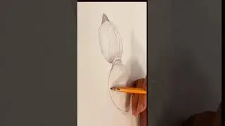 Master Lotus Root Shading Fast: Beginner to Pro Art!｜蓮藕素描速成 | #shorts #LiberaCaballo #師薈