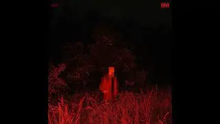 dolió bonito - Kid Dolce (lyrics)