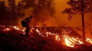 Dixie Wildfire, largest single blaze in California history | Climate Change | Latest English News