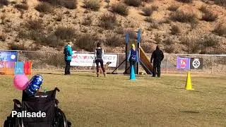 Flirty&rsquo;s Mondioring Level 1 Trial