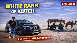 White Rann of Kutch 🇮🇳 -India&rsquo;s White Desert, Flamingos & Rann Utsav |Ultimate Gujarat Roadtrip EP 8