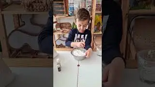 Habitat arctic #experiment #copii #activitate #sensoryplay