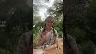 Researching Insects in Kenya for My Senior Capstone: Part 2