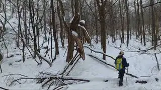 2026 01 16 Nagy-Vasfazék Patak: Királyrét