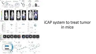 inducible CAP (iCAP) delivery system to diagnose tumors in mice #Code: 1012