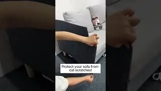 Protect Your Furniture from Cat Claws with This Easy Hack!  #cat #couch