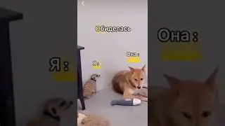семейная жизнь) #challenge #music #funny #приколы #мемы #лучшее #shorts