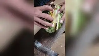 Penampakan DURIAN PREMIUM jatu Pohon, MANIS & ENAK? 