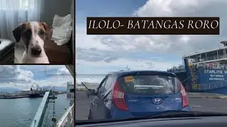 Recent iloilo- Batangas Roro with car + pet
