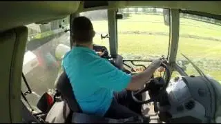 Rondje grashakselen bij h.j.looman