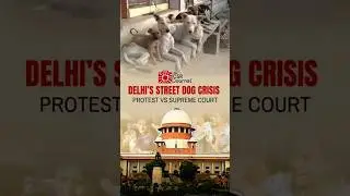 Delhi&rsquo;s Street Dog Crisis 🐾 | Protest vs. Supreme Court
