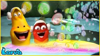 Larva Tuba - BỂ BƠI  - ẤU TR&Ugrave;NG TINH NGHỊCH - PHIM HOẠT H&Igrave;NH HAY NHẤT 2021