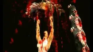 Baraka Meat Spin