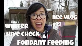 Mid Winter Hive Check & Fondant Feeding  | Bee Vlog #19