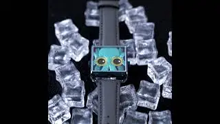 HAPPIEWATCH | HIGH FASHION WATCH | OCTOPUS KRAKEN