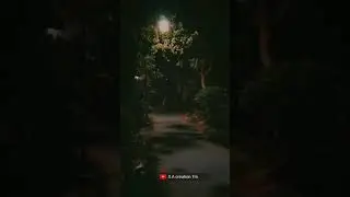 Jo darkhast hai ye status🥀🖤🖤🥀|| Darkhast song  whatsapp status 🖤❤️||Shivaay movie song status#shorts