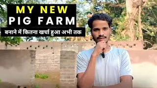 My New Pig Farm Under Construction 🏗️ || अभी तक कितना खर्चा हुआ है 😳