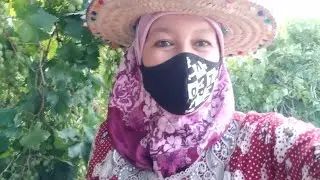 فيديو جديد في منطقة الشرفات وبزاف ديال المفاجأة 😍🥰🏔
