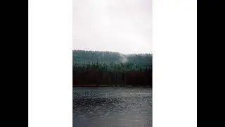Moss Harvest - Detrital