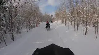 Newberry to Pine Stump Junction