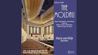 Seven Dances, Op. 60: Fandango