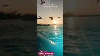 Good morning status 4k full screen HD status