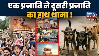 बेज़ुबानों के लिए उठी इंसानियत की आवाज़ !#supremecourt #animalrights #delhi #streetdog #viralreels