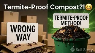 Cardboard Composting Is Wrong -Try This Termite-Safe Method Instead!