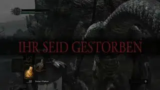 Dark Souls 1 Enemy + Item Randomizer #002