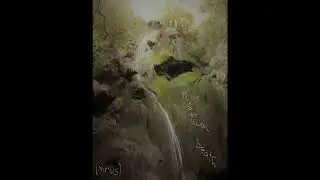 Mystical breath (virus)