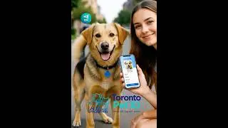 Toronto Smart NFC Tag for Pet