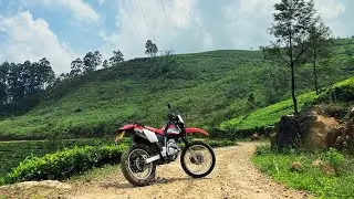 Gerandi Ella - Sri Lanka 🇱🇰 Trailer