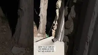 outdoor leaks