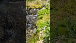 The refreshing snowmelt water in Garibaldi Park