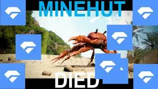 when trent runs Minehut