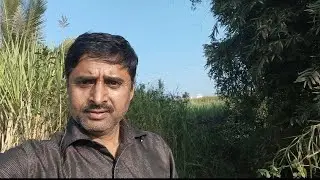 गावाकडची शेती#comedy #farming #funny #trending 