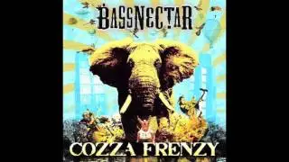 When I Grow Up (Bassnectar Remix) | Bassnectar