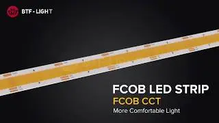 BTF-LIGHTING: FCOB CCT LED Strip Light Deateils, What is difference between COB and SMD
