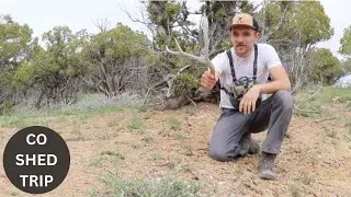 Shed Hunting Colorado - Mule Deer Shed Hunting - Beyond the Boundaries
