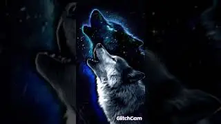 Ведео со зверями