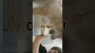 чётко