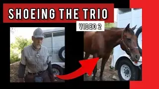 Shoeing the Trio - VID 2 - RJF