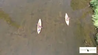 Kayak Safari
