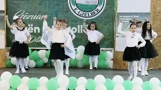 Dita e Shkollës dhe Dita e Tokës