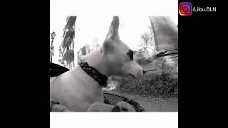 Best of Lilou | Last Year Videos from Instagram | Follow us
